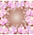 orchid frame vector image vector image