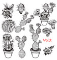 set of hand drawn cactuses for design vector image