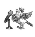 cartoon singing parrot sketch engraving vector image vector image