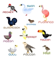 cartoon colorful flat birds set vector image