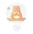 color yoga bear vector image