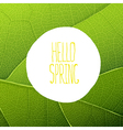 hello spring leaf texture vector image vector image