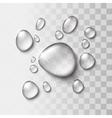 transparent water drop vector image