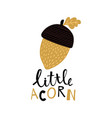 acorn vector image