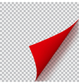 curled corner of paper vector image vector image
