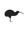 kiwi vector image
