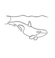 orca line art vector image vector image