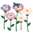 fresh flowers with butterflies vector image