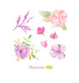set of watercolor floral elements for decoration vector image