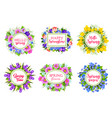 flowers bouquets for hello spring quotes vector image
