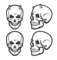 skull set vector image