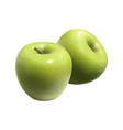 realistic green apples composition vector image vector image