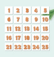 christmas advent calendar decorated wirh vector image