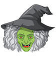 wicked old witch face on white background vector image