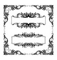 frame label floral ornament decoration vector image
