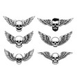 set winged skull isolated on white vector image