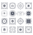monogram luxury elements vector image