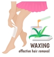 hair removal vector image
