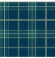 seamless tartan pattern vector image