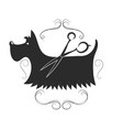 dog grooming design vector image