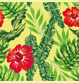 tropical hibiscus green plants pattern vector image