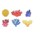 sea aquatic plants set colorful underwater vector image