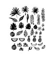 hand drawn brush plants vector image