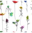 seamless pattern with herbs and flowers vector image vector image