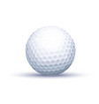 classic golf ball vector image