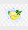 realistic lemon whole and half mint in water vector image vector image
