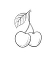 beautiful cartoon black and white outline cherry vector image vector image