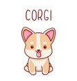 cute kawaii hand drawn corgi dog doodles vector image