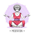 hipster animal monkey meditating in lotus position vector image