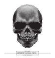 human horror skull vector image