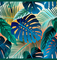 tropic leaf banana palm pattern floral wallpaper vector image