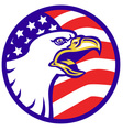 american bald eagle screaming vector image