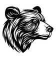 bear head symbol vector image vector image