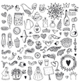 wedding vintage elements big collection vector image