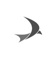 abstract bird graphic design template vector image