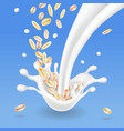 oat flakes in milk splash vector image vector image