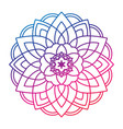 mandala sunflower print sacred geometry round vector image vector image