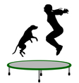 woman and dog trampoline vector image