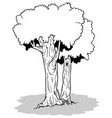 drawing of two deciduous trees vector image vector image