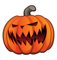 jack o lantern halloween pumpkin vector image vector image
