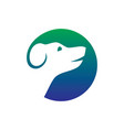 dog pet shop logo vector image vector image