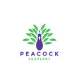 peacock with egg plant logo symbol icon graphic vector image
