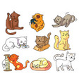 funny cartoon cat set isolated on white background vector image