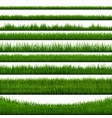 grass border collection vector image vector image