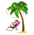 cartoon penguin laying in hammock under palm tree vector image