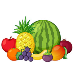 Set mixed fruit Royalty Free Vector Image - VectorStock